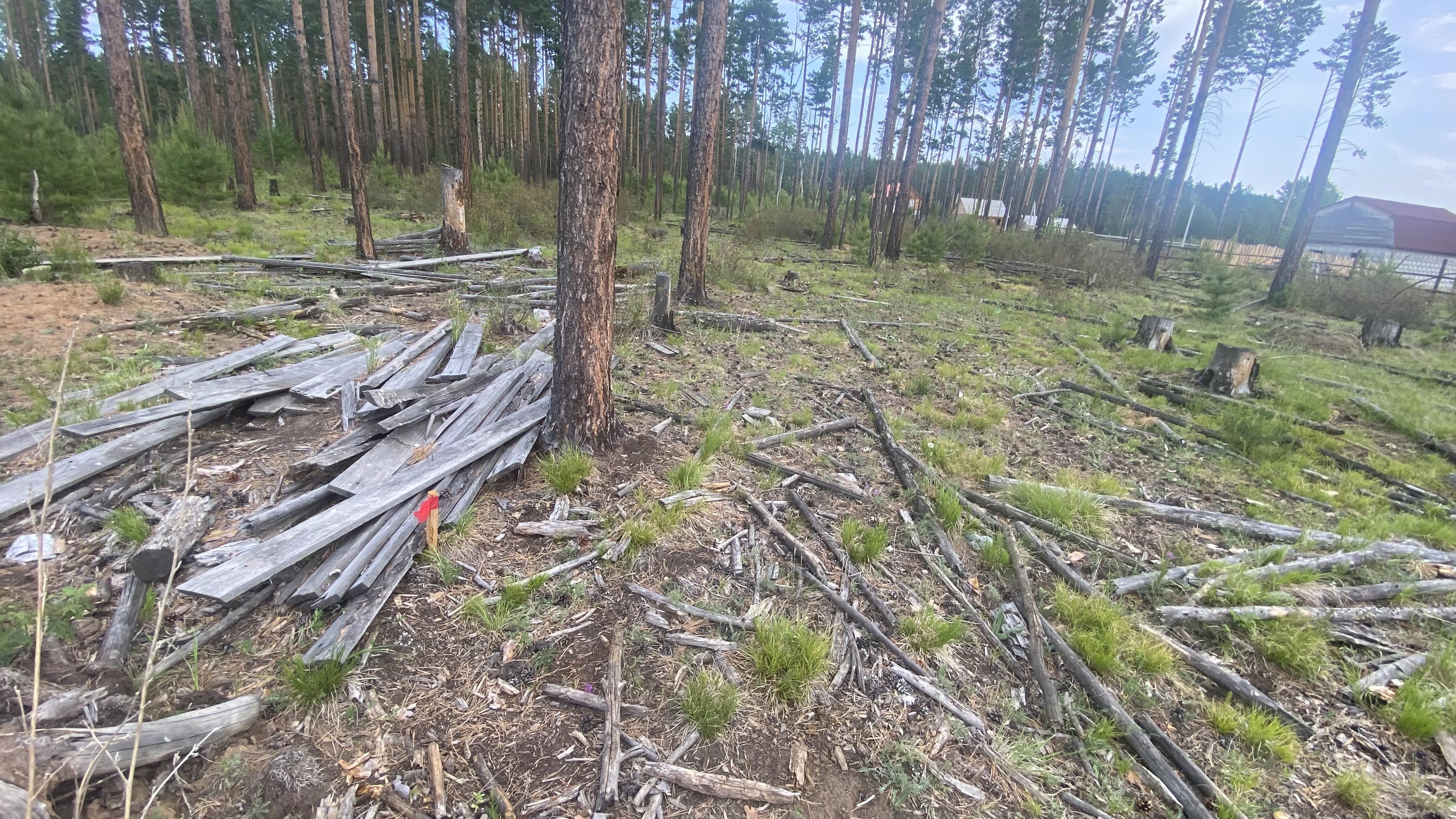 Право аренды земельного участка из земель населённых пунктов площадью 1194 кв.м с кадастровым номером 38:06:050101:1863, адрес: Российская Федерация, Иркутская область, муниципальный район Иркутский, сельское поселение Никольское, село Никольск, улица Весенняя, земельный участок 14