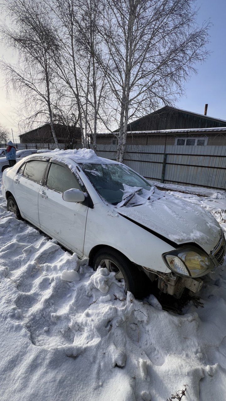Автомобиль марки «TOYOTA COROLLA» с государственным регистрационным знаком Е591ММ 75 RUS. Цвет белый. Рама № NZE1213052012. Салон - обивка тканевая. . Автомобиль марки «Тойота Ипсум», с государственным регистрационным знаком Е 950 КУ 75 рус., 1988 года выпуска, номер кузова SXV10 7126136, (Перечень в документации)