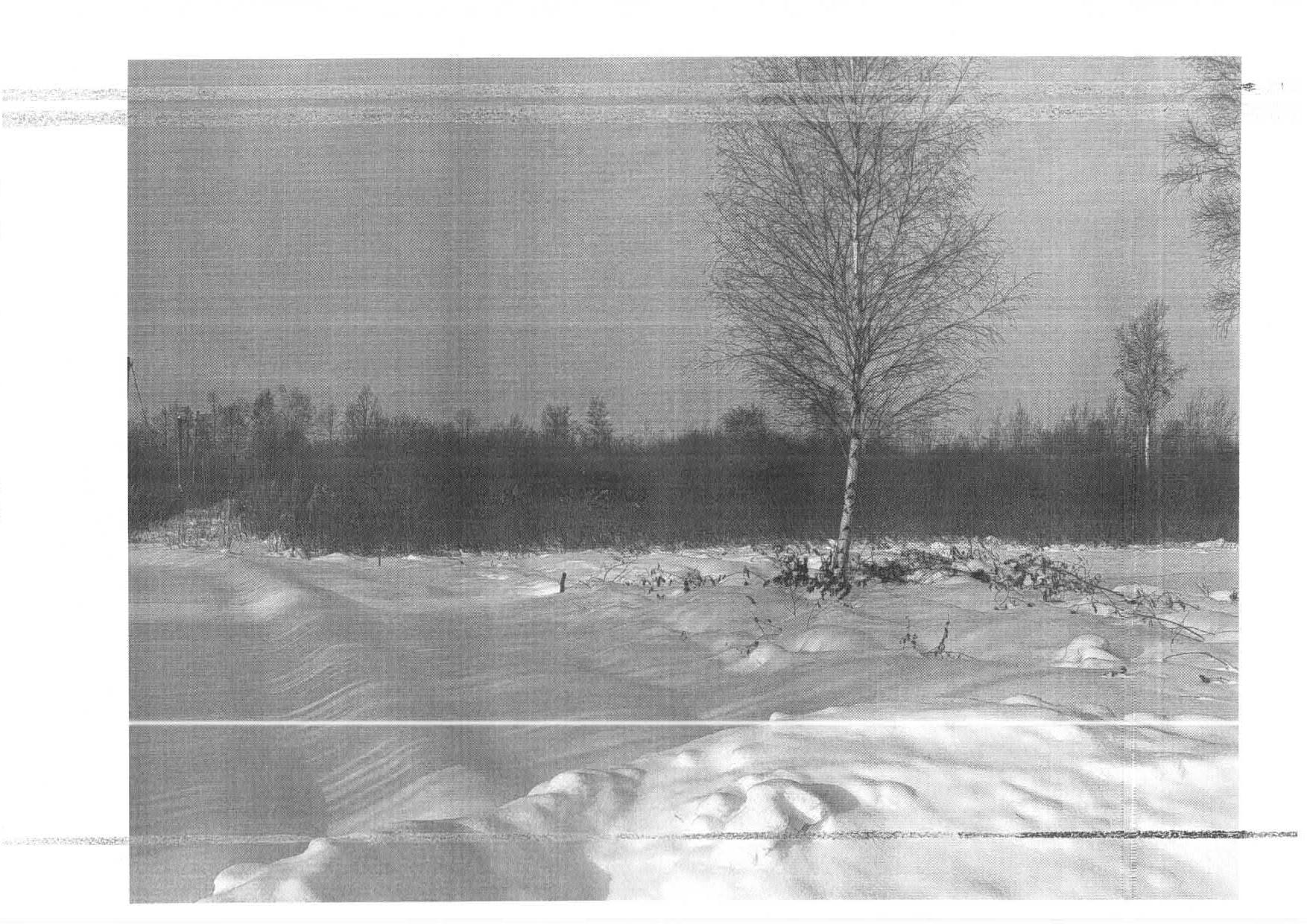 Земельный участок, площадь 900 кв.м., кадастровый номер: 72:12:1503001:1484, Нижнетавдинский р-н., 5,7 км., на юг от южной границы с. Тюнево, ДНТ "Сочинские", ул. 35 линия, уч. 923, рег.№ 72-011863;