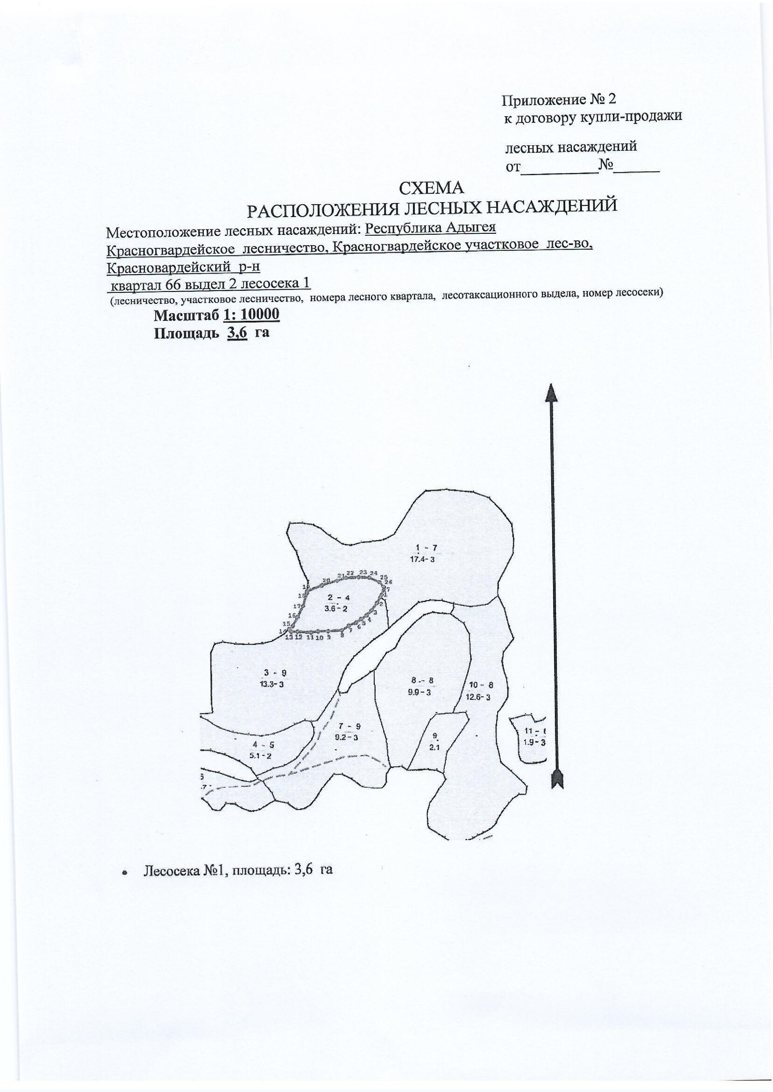 Лесные насаждения