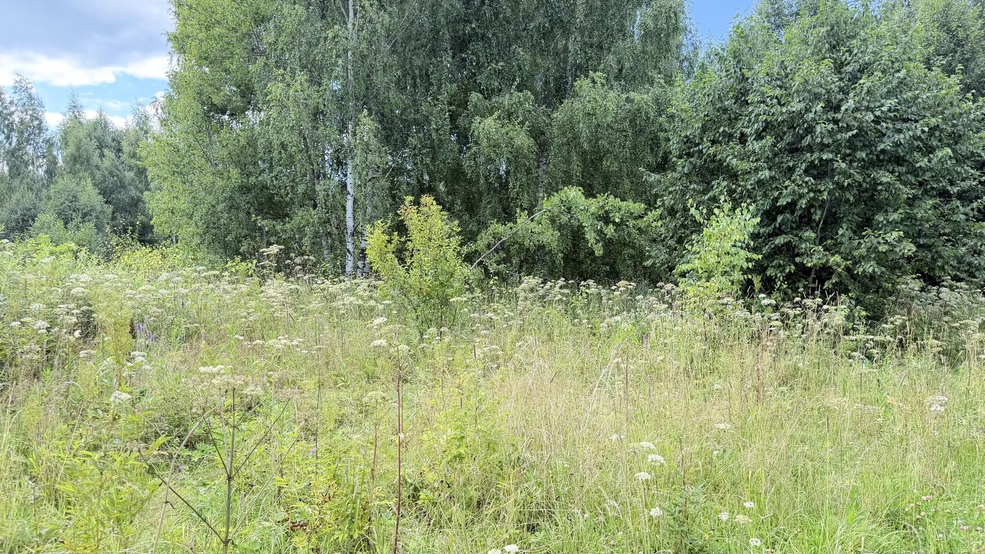 Аукцион в отношении земельного участка с КН 50:08:0080328:623