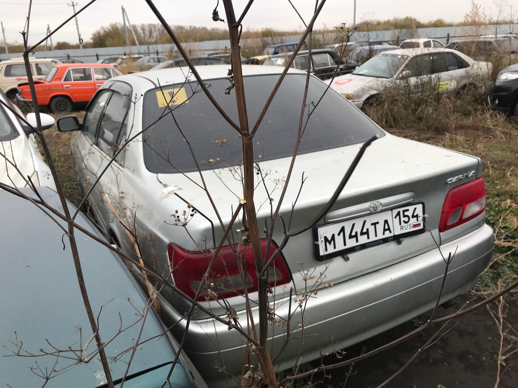Автомобиль :"Субару Легаси В4", 2000 г.в. кузов № ВЕ5044219 (документы отсутствуют, ключи отсутствуют); "Тойота Карина", 2000 г.в., кузов № AT2120070178 (документы отсутствуют, ключи отсутствуют); ВАЗ 21101, 2005 г.в., VIN XTA21101050866009 (документы отсутствуют, ключи в наличии); Тойота Креста, 1986 г.в., № кузова GX1006044984 (документы отсутствуют, ключи в наличии)