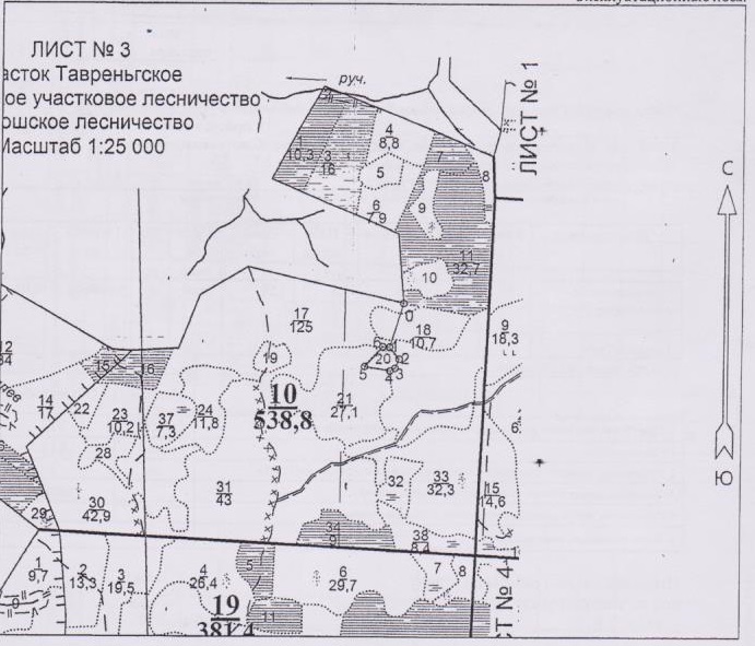 Предметом аукциона является право заключения договора купли-продажи лесных насаждений в целях осуществления заготовки древесины для государственной поддержки субъектов малого и среднего предпринимательства, на территории Коношского лесничества.