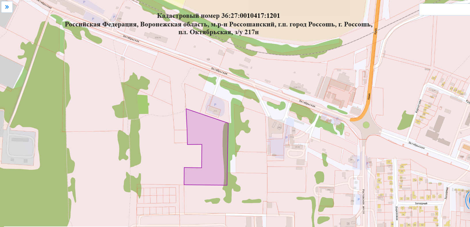 Земельный участок с кадастровым номером 36:27:0010417:1201, расположенный по адресу Российская Федерация, Воронежская область, муниципальный район Россошанский, городское поселение город Россошь, город Россошь, площадь Октябрьская, земельный участок 217н, площадью 38040 кв.м, категории земель населенных пунктов, с видом разрешенного использования – развлекательные мероприятия
