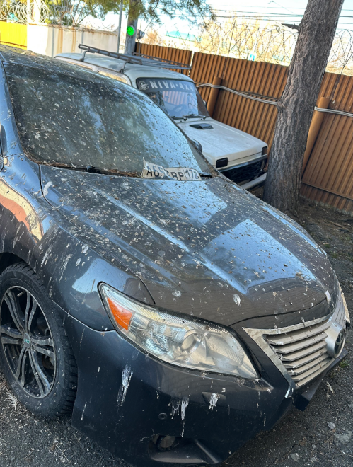 Автомобиль Toyota CAMRY, с г.р.з. А653ВР172, VIN XW7BE40K70S033996, 2011 г.в. ТС обременено ЗАЛОГОМ, который остается на имуществе, согласно ГК РФ (покупатель оплачивает залог самостоятельно). ТС имеет ограничения ФССП на регистрационные действия (ключи и документы отсутствуют, техническое состояние не проверялось, пробег не известен). Имущество продается в том виде, в каком оно есть, в случае продажи возврату/обмену не подлежит. За скрытые дефекты имущества Продавец ответственности не несет.