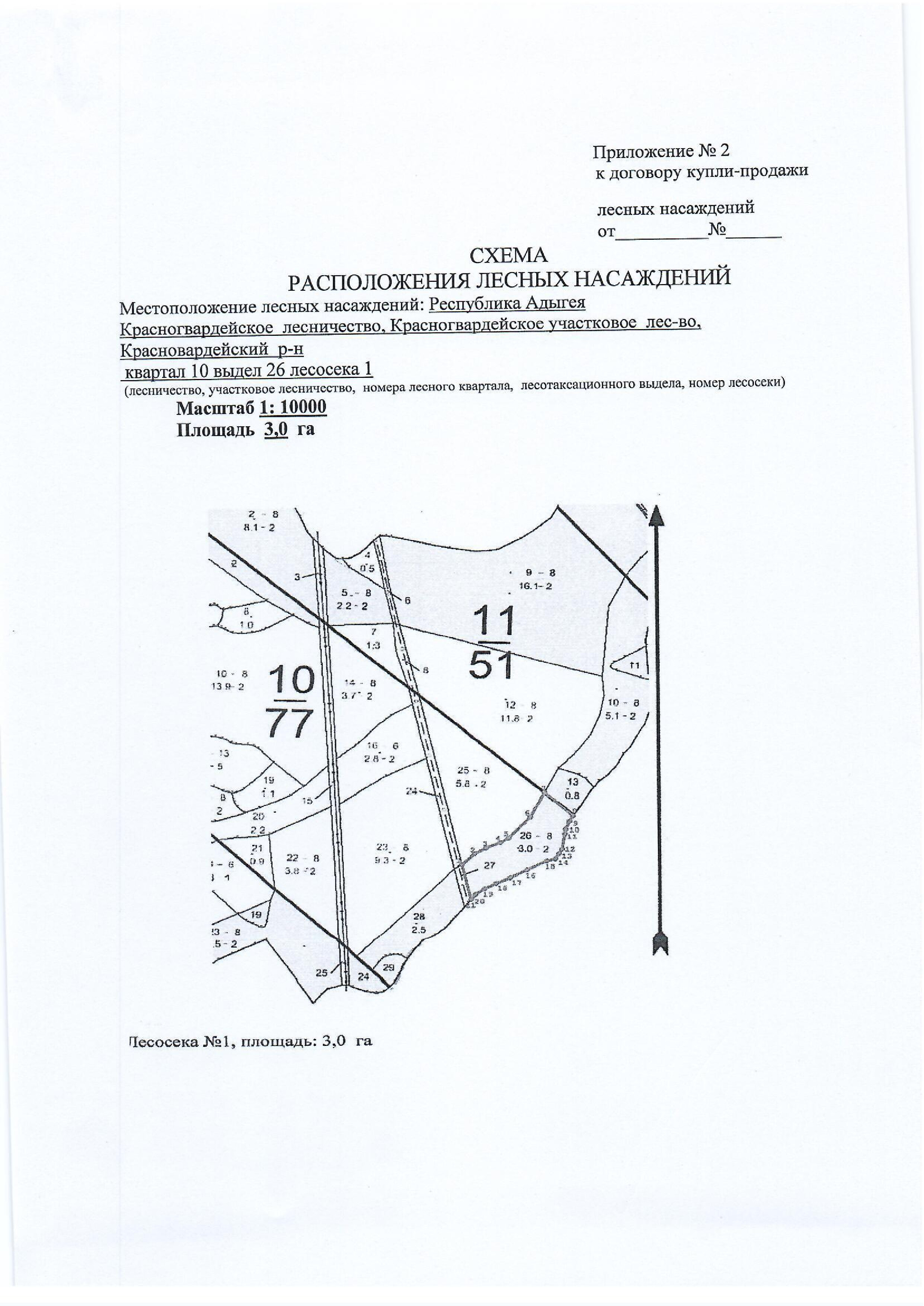 Лесные насаждения
