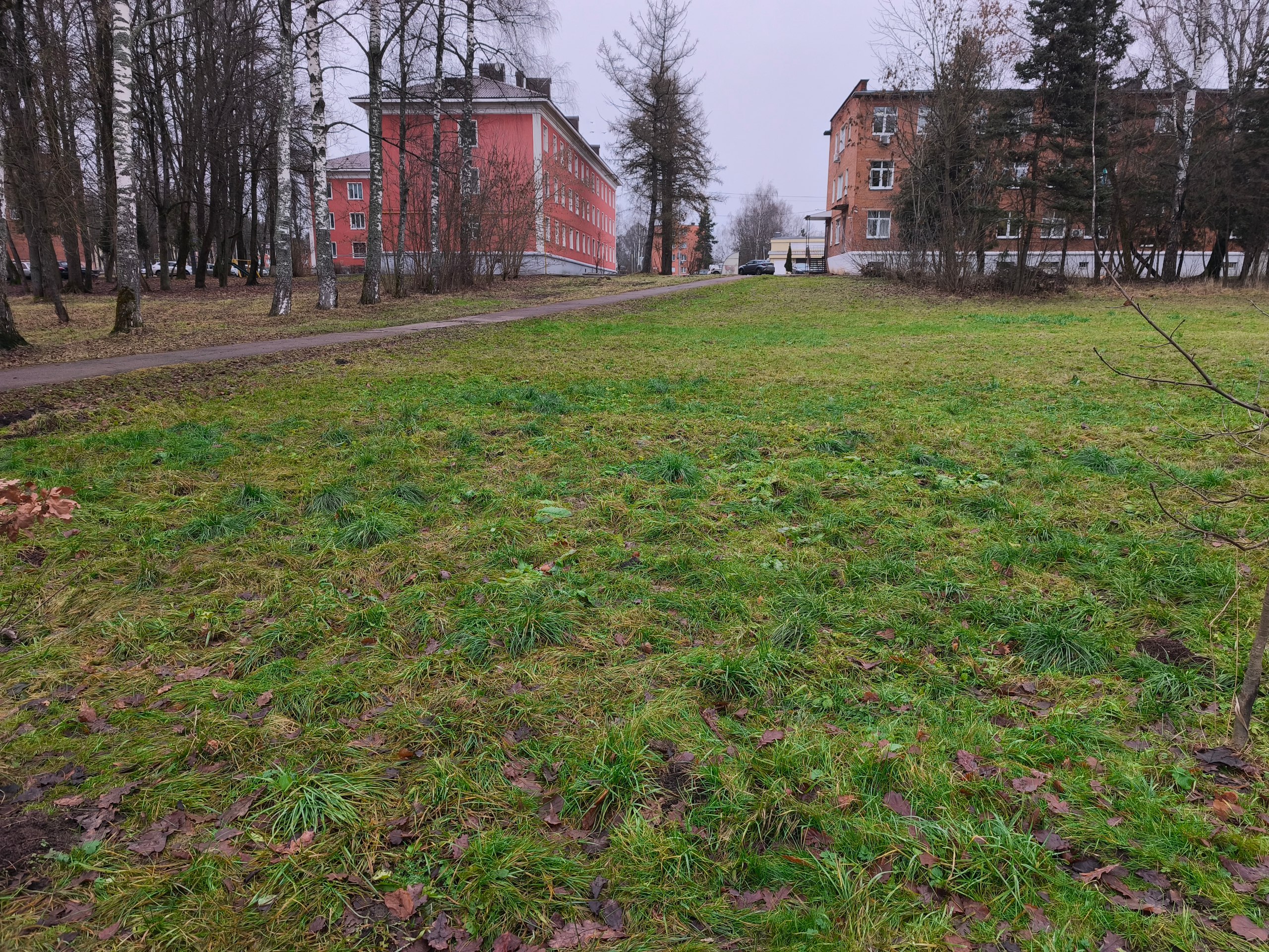 Право на размещение объекта бизнеса на территории парка городского округа Клин Московской области