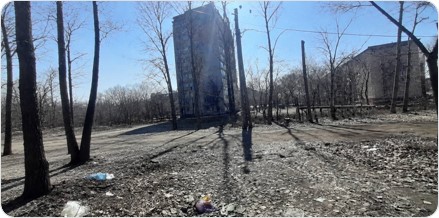 Продажа находящегося в федеральной собственности земельного участка площадью 23 518 кв. метров (кадастровый номер 27:23:0010127:412), расположенного по адресу: Хабаровский край, г. Хабаровск, ул. Полярная, д. 1, для иного строительства.