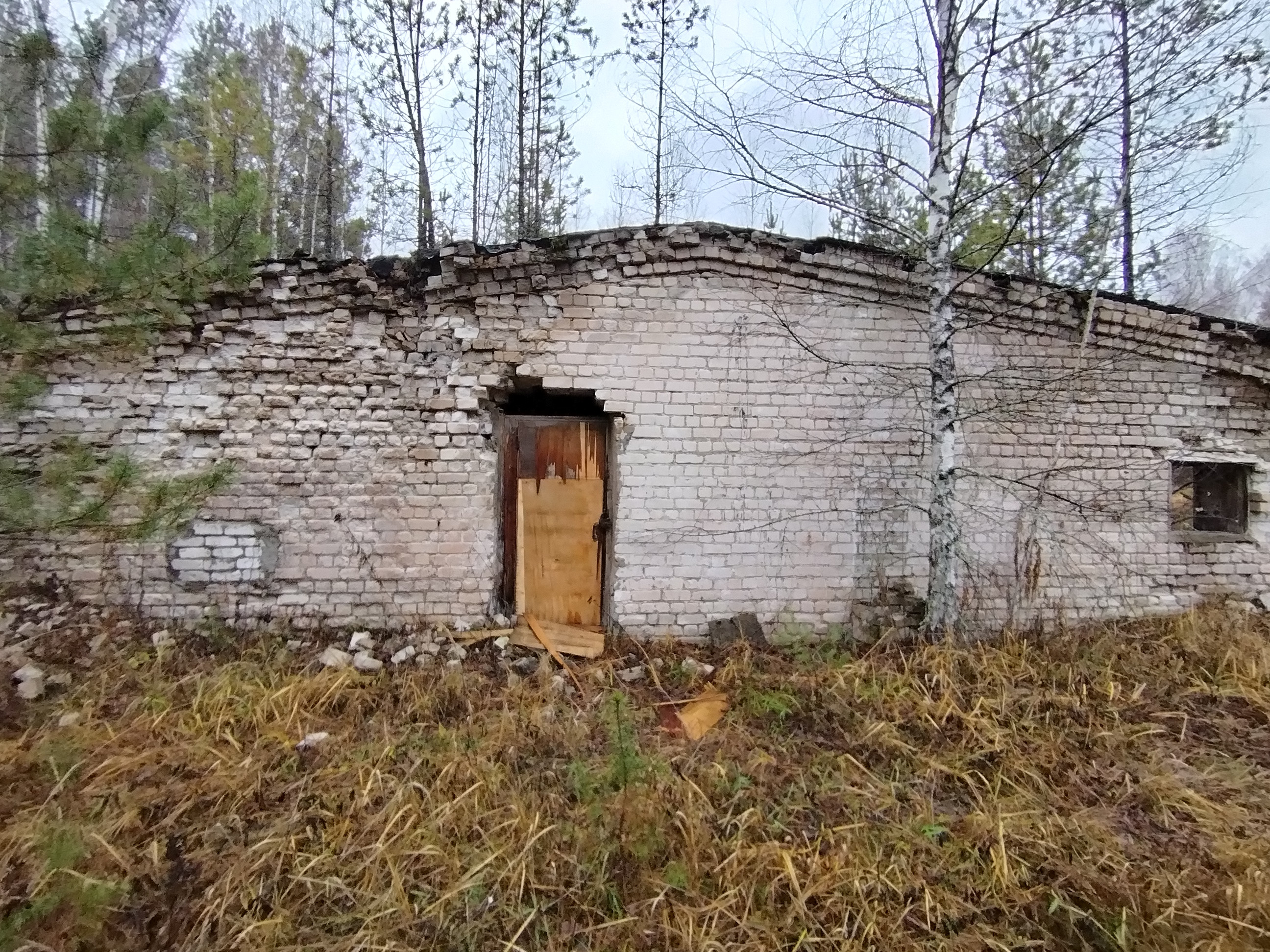 Продажа муниципального имущества посредством публичного предложения - здание овощехранилища (нежилое), площадью 115,50 кв.м, кадастровый номер 52:24:0150301:447, расположенное по адресу: Российская Федерация, Нижегородская область, р-н Богородский, д. Ключищи