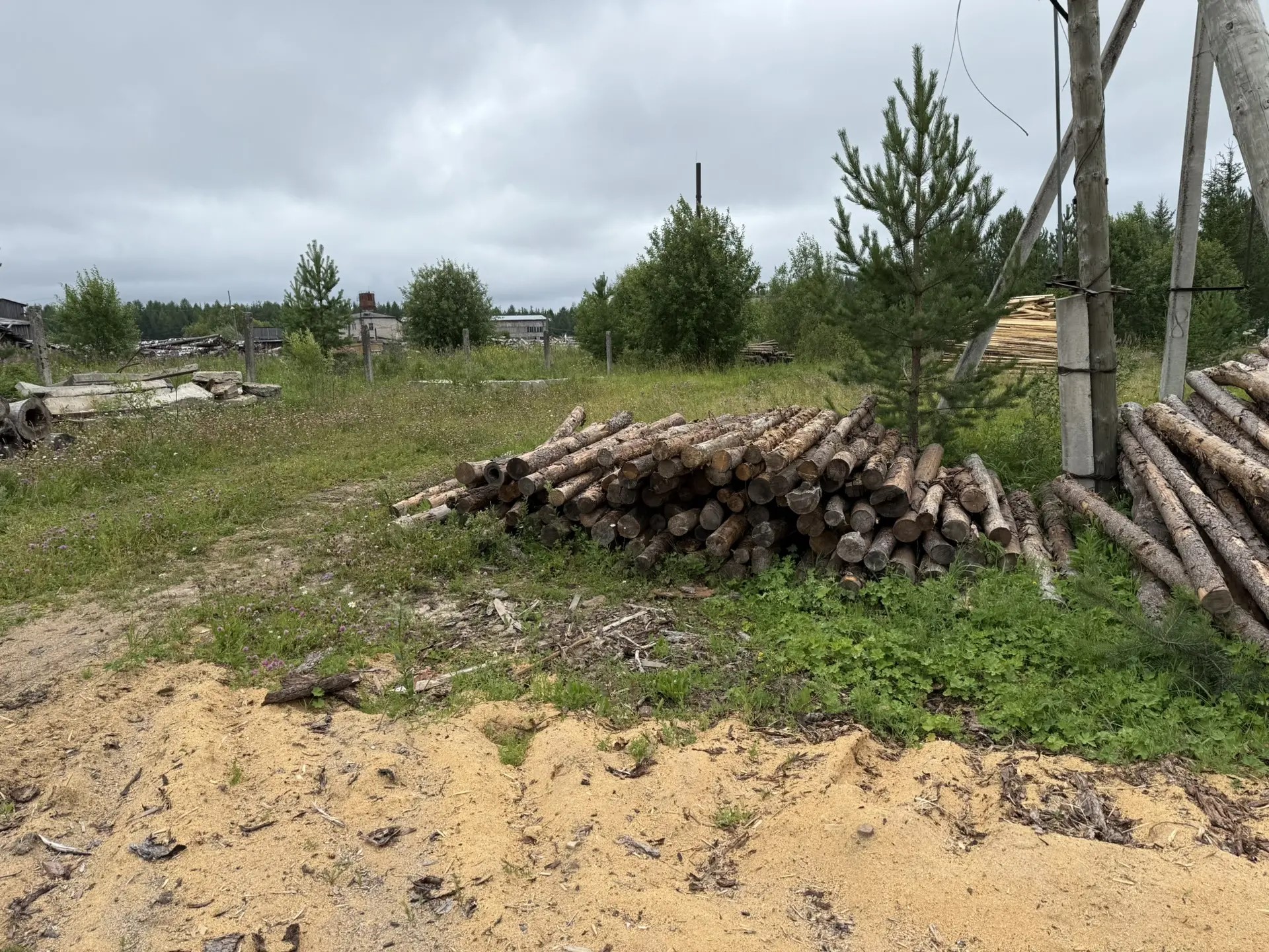 Колотые дрова деревьев пород берёза и осина общим объемом 1,43 куб. м.+Стволы деревьев породы ель общим объемом 17 куб. м.+Пиломатериалы общим объемом 15 куб. м. Единый лот. Реализация в качестве годных остатков. Сопроводительные документы отсутствуют.