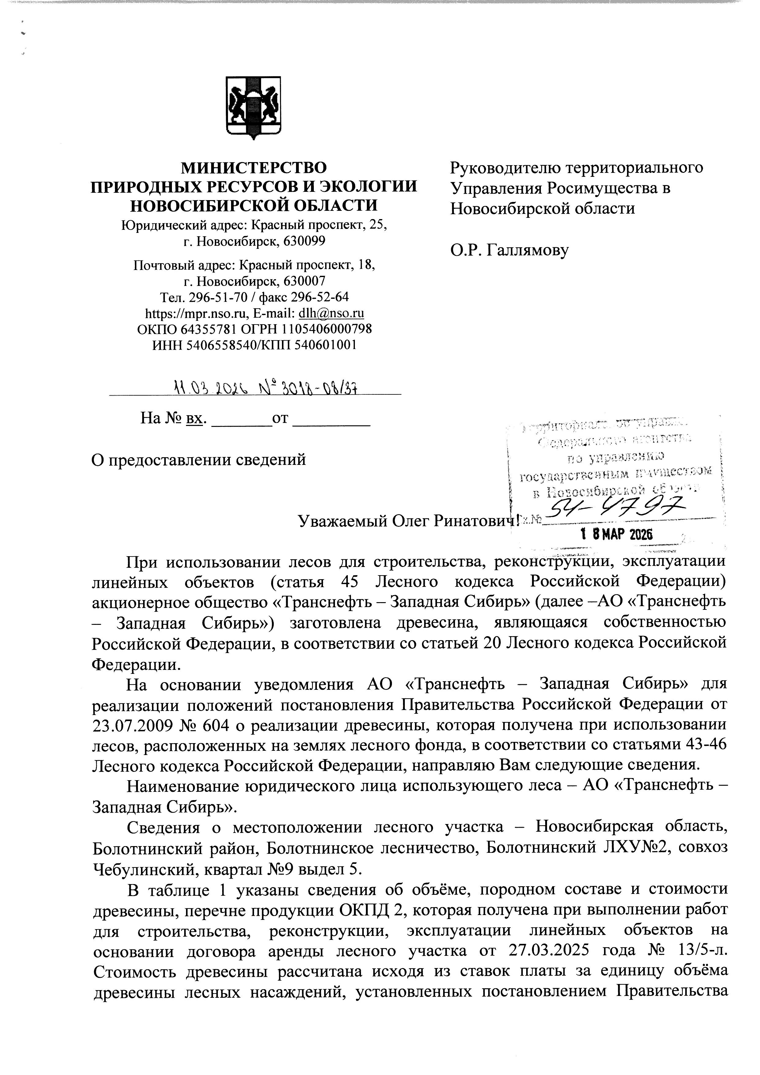 Лот 2. Всего древесины (куб. м.) - 13,00 куб. м, из них: деловой березы - 8,00 куб. м,; дровяной березы - 5,00 куб. м.