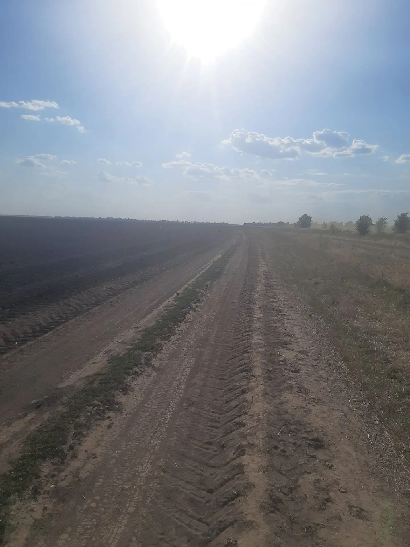 Земельный участок сельскохозяйственного назначения, находящийся в муниципальной собственности, с кадастровым номером 61:24:0600001:863, площадью 25099 кв.м., категория земель: земли сельскохозяйственного назначения, вид разрешённого использования: сельскохозяйственные угодья пашни, пастбища, расположенный по адресу: Российская Федерация, Ростовская область, Морозовский р-н, в границах землепользования реорганизованного с/х предприятия – колхоз «Ленинское знамя»