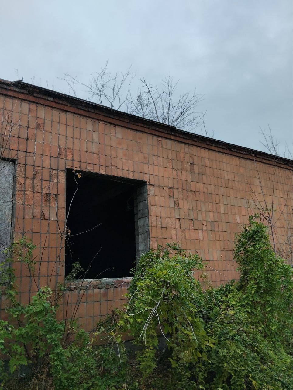 нежилое здание (Плотницкий цех литера А-1) площадью – 404,6 м², расположенное по адресу: Российская Федерация, Донецкая Народная Республика, муниципальный округ Мангушский, поселок городского типа Мангуш, улица Почтовая, 14б, с кадастровым номером 93:13:0010101:1502