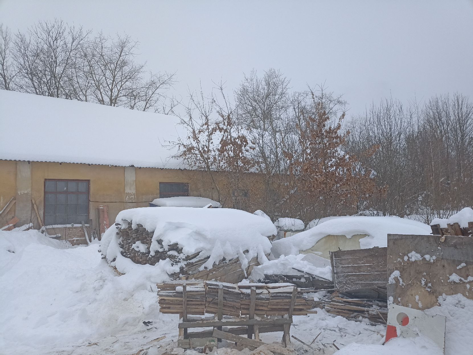 Недвижимое имущество, находящееся в федеральной собственности, расположенное по адресу: Псковская область, Великолукский район, г. Великие Луки, ул. Деповская, д.12а