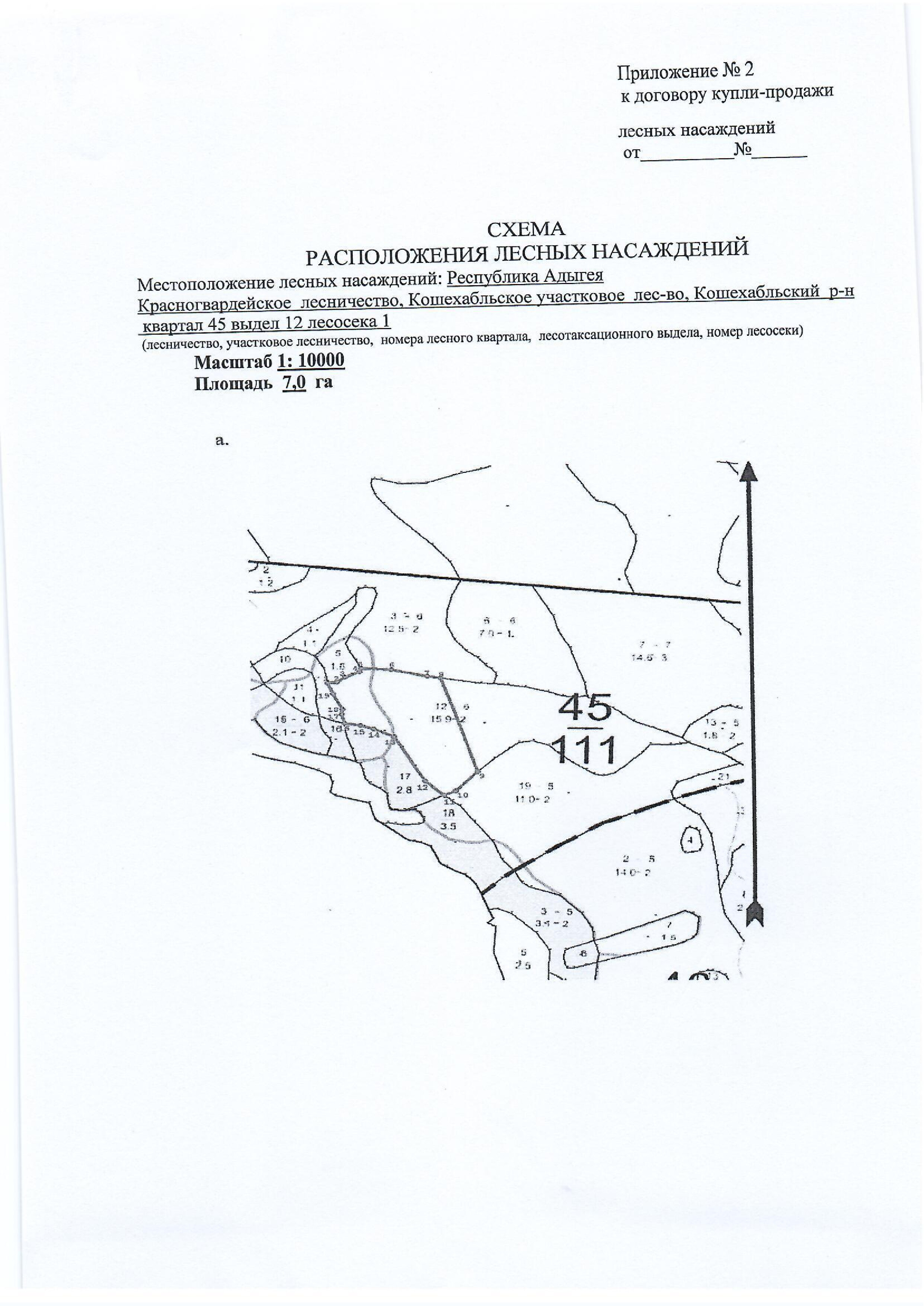 Лесные насаждения