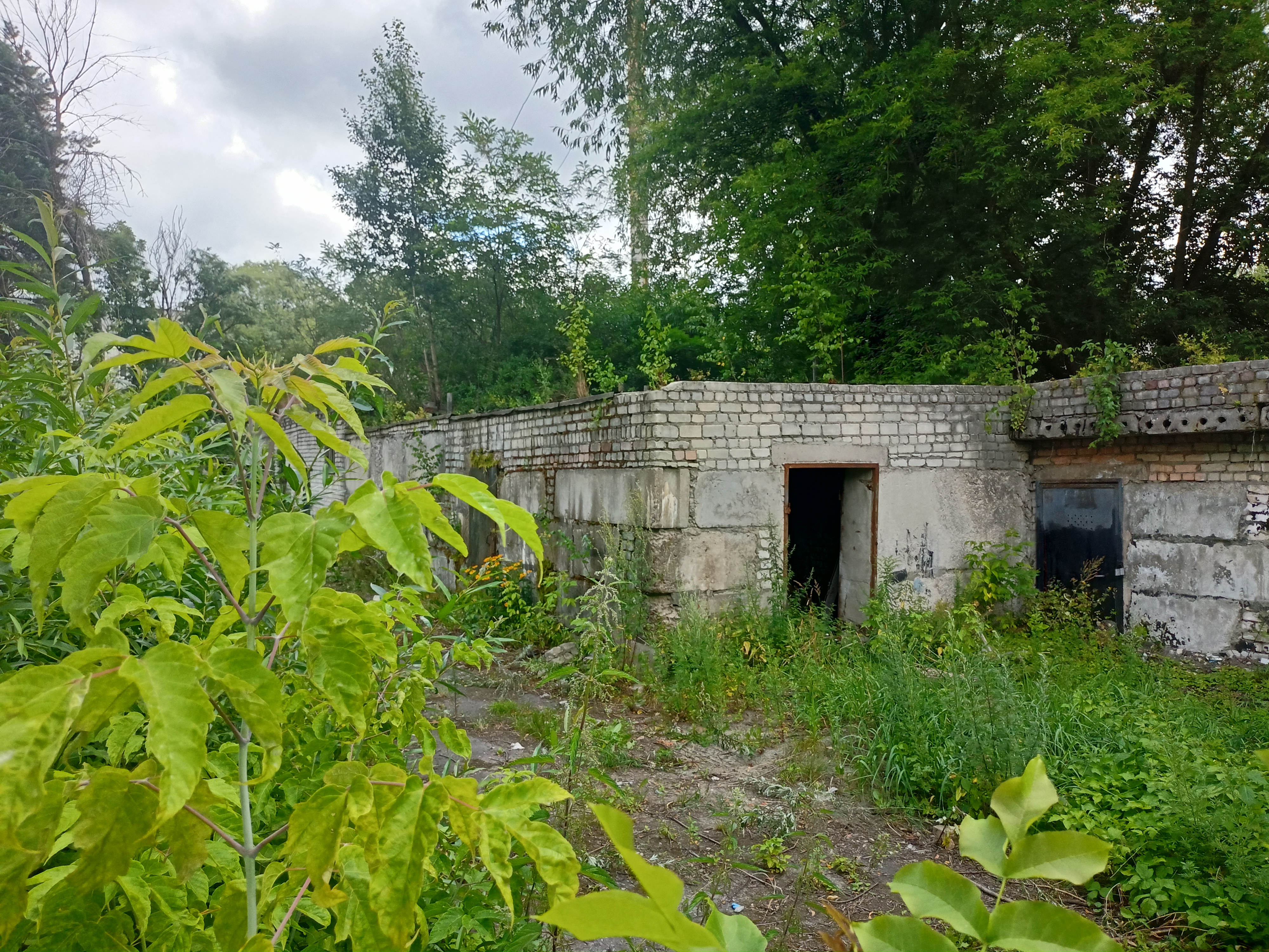 муниципальное нежилое здание площадью 196,7  кв.м, кадастровый номер 32:28:0021315:382, с земельным участком, необходимым для его использования, с кадастровым номером: 32:28:0021315:25, площадью 830 кв.м, с видом разрешенного использования: бытовое обслуживание, расположенные по адресу: Брянская область, городской округ город Брянск, город Брянск, улица Клары Цеткин, строение 12 В