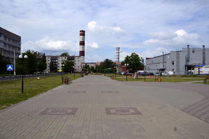 Право заключения договора на организацию ярмарок на месте проведения ярмарок по адресу: г.о. Электрогорск, Городской бульвар