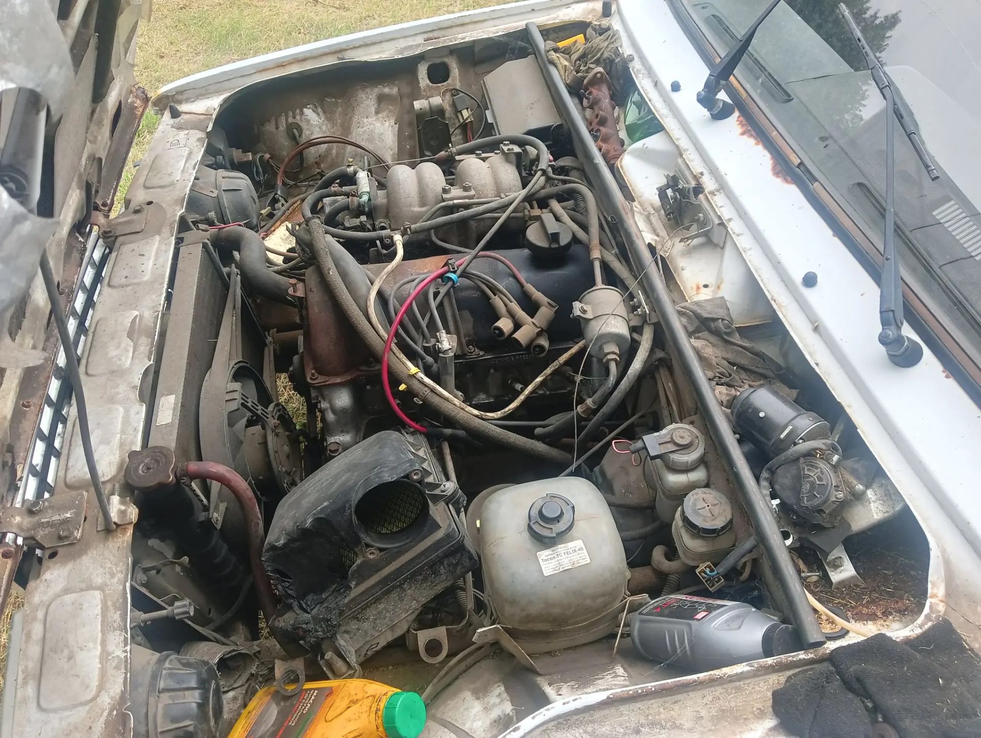 Транспортное средство марка, модель LADA 210740 LADA 2107, идентификационный номер (VIN) XTA21074082726098, тип - легковой, год изготовления – 2008, модель, № двигателя 21067 №9038134, цвет кузова – ярко-белый, государственный регистрационный знак К181УУ 31 RUS, не на ходу