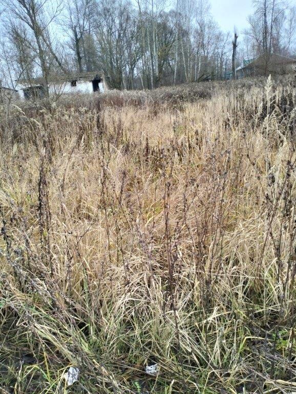 Ежегодная арендная плата за земельный участок, расположенный по адресу: Владимирская область, город Гусь-Хрустальный, поселок Гусевский, улица Строительная, з/у 15