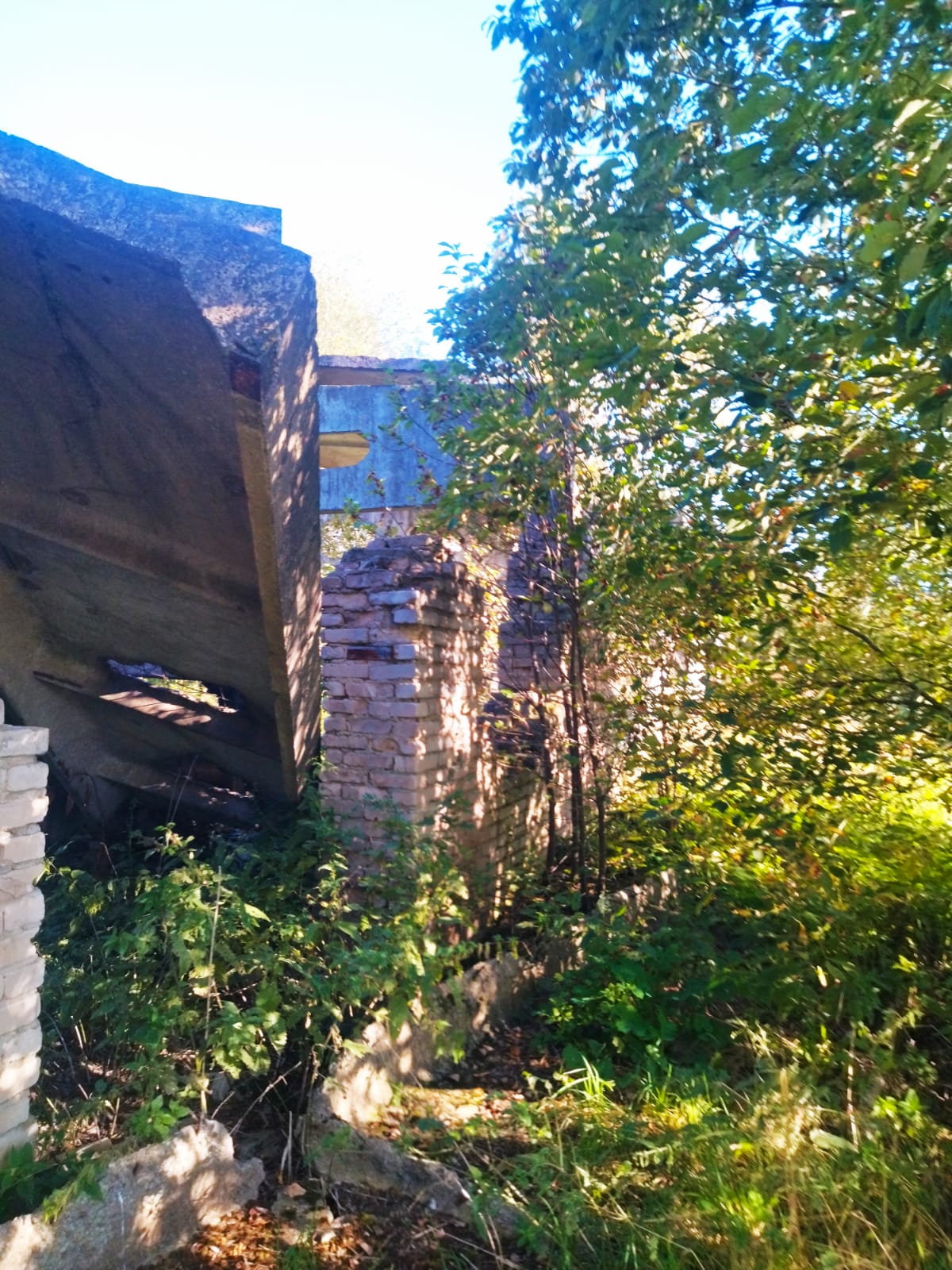 Скотный двор (оставшаяся часть разрушенного здания), площадь 1006,5 кв.м; земельный участок, площадь 1416 кв.м, расположенные по адресу: Новгородская область, Новгородский район, д. Григорово