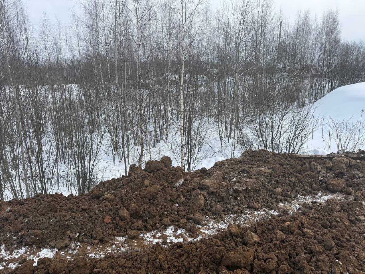 Аукцион в отношении земельного участка с КН 50:13:0020205:3131