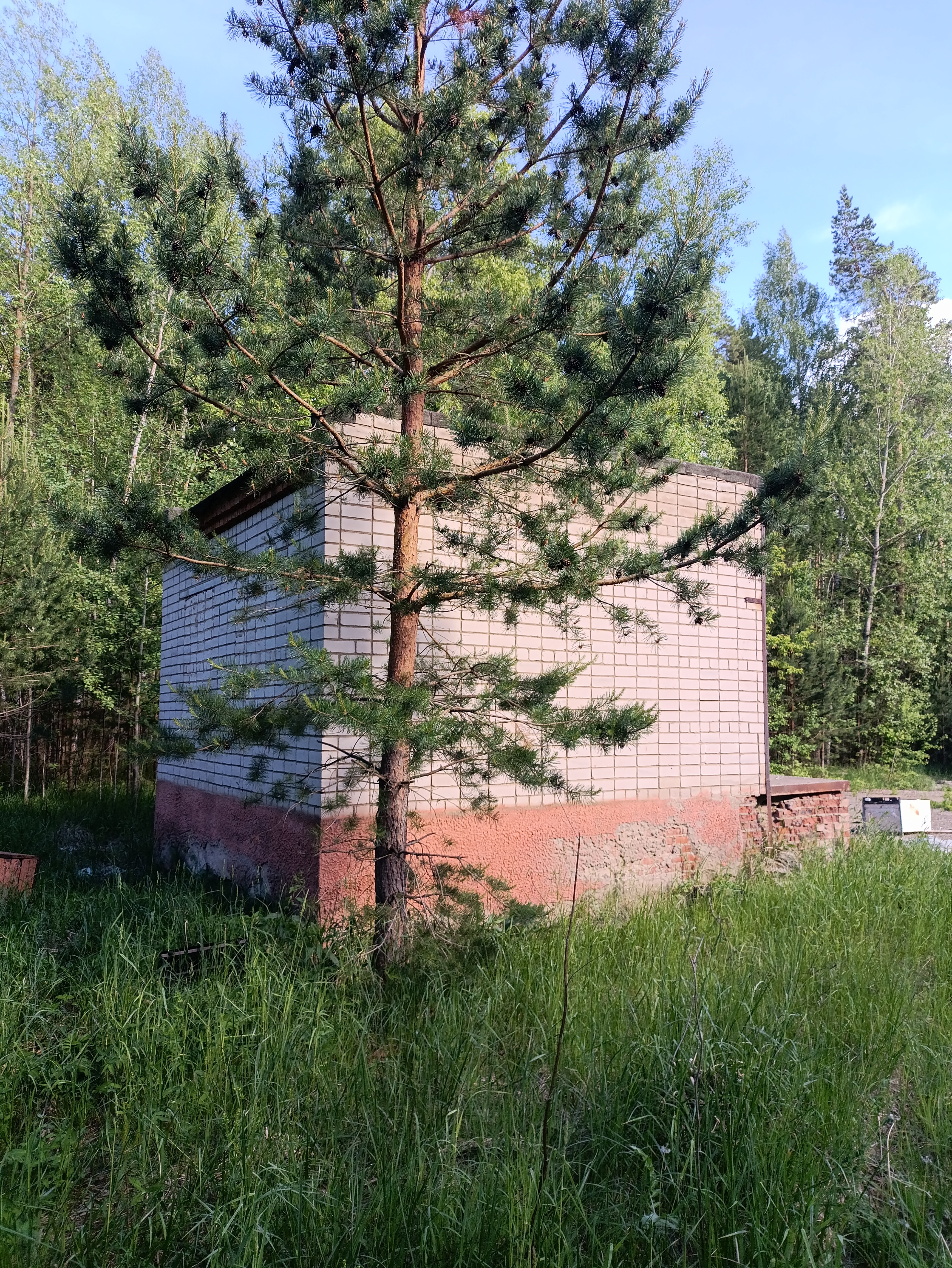 нежилое здание (детский оздоровительный лагерь )