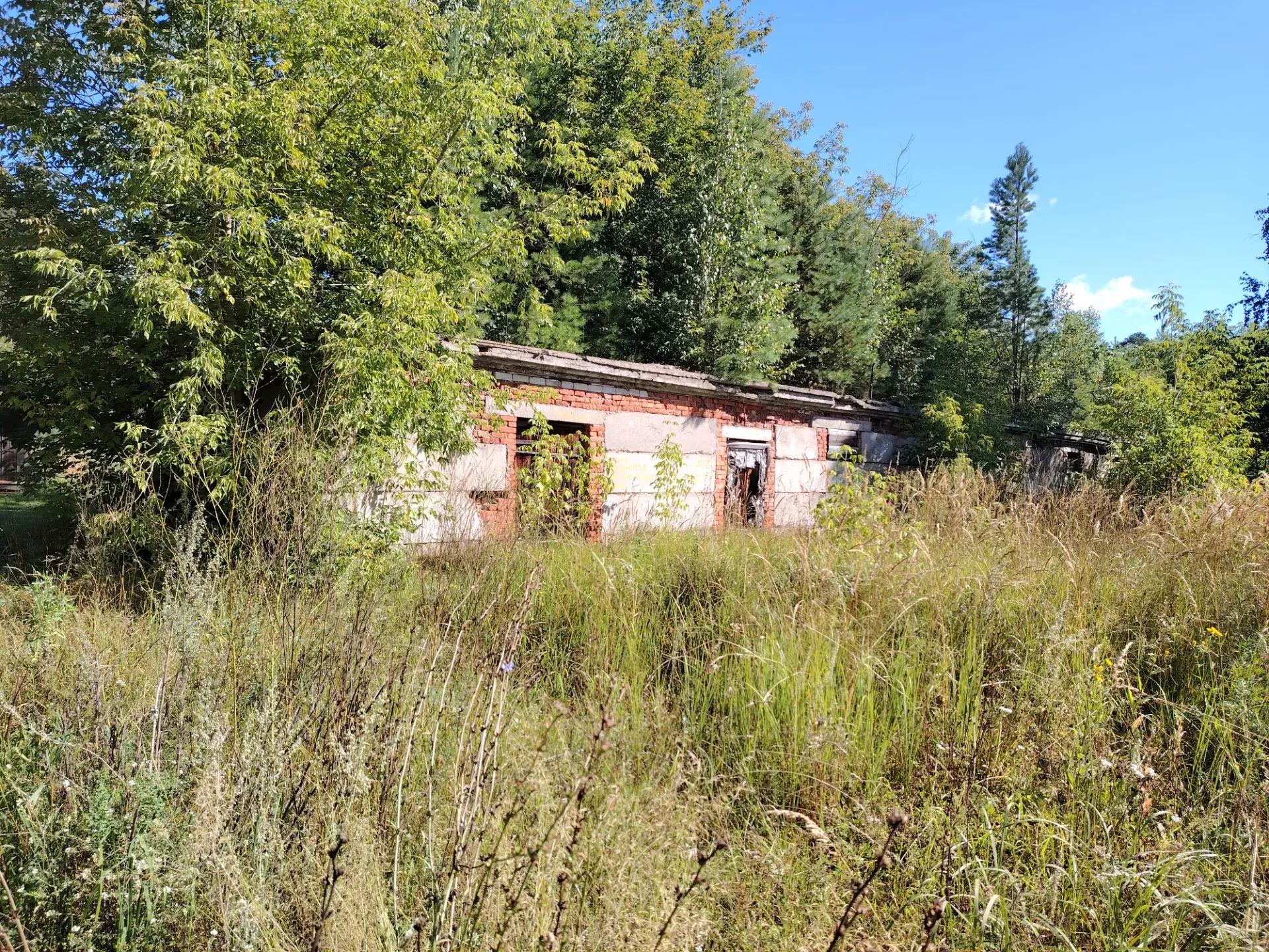 Годные (утилизационные) остатки здания (склад), площадь 260,7 кв.м, кадастровый номер 43:07:020101:1173, 1978 года постройки, назначение: нежилое, по адресу: Кировская область, р-н Вятскополянский, пгт Красная Поляна, ул. Сосновая, д. 24
