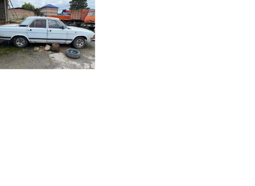 АвтомобильГАЗ-310202