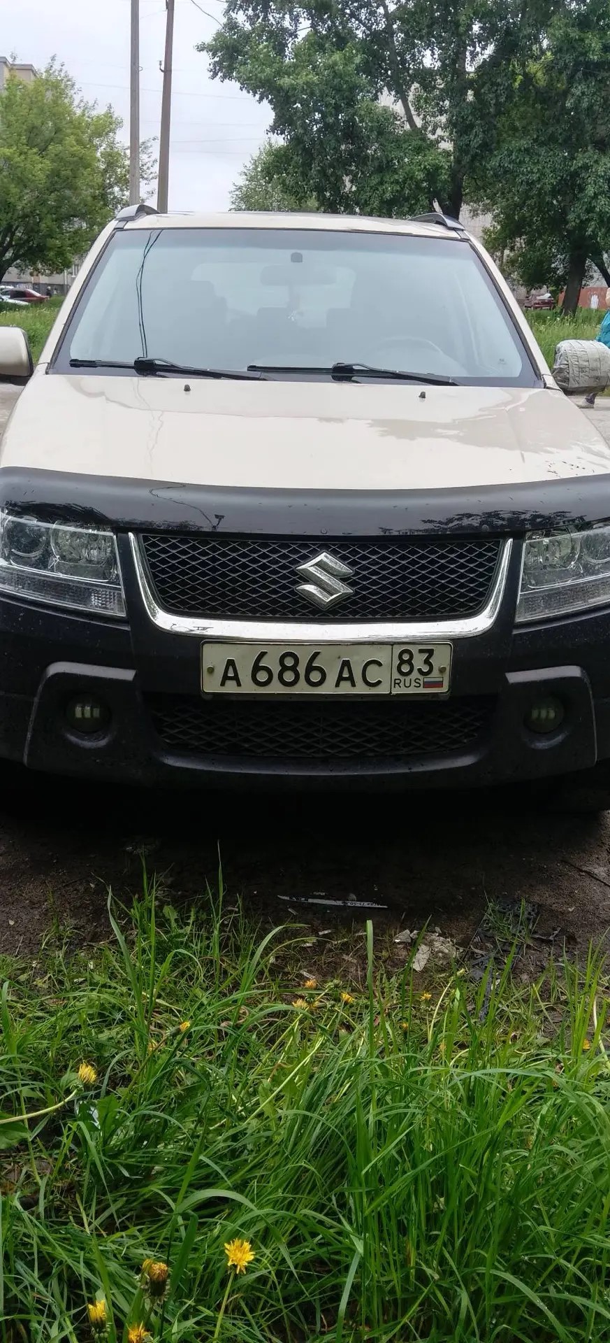 Транспортное средство Suzuki Grand Vitara, 2008 года выпуска, цвет - бежевый, VIN JSAJTD54V00310916, государственный номер A686AC83. Состояние ТС: повреждения и дефекты кузова, разбито зеркало и задний бампер.
