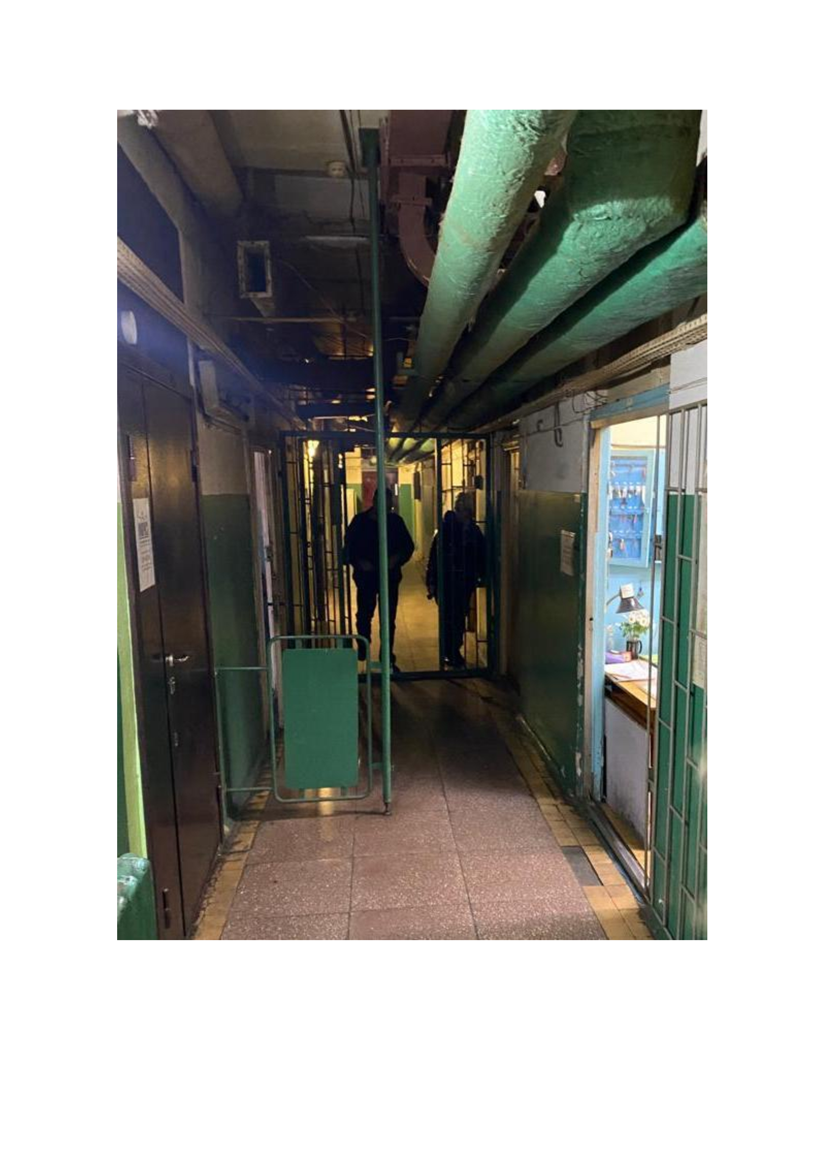 Нежилые помещения в здании Метрологического центра, на 1 этаже помещения № 50, № 59, общей площадью 27,2 кв.м.