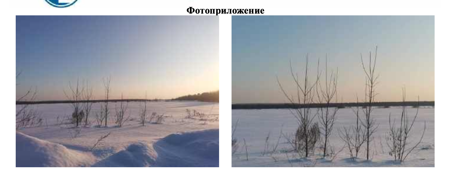 Земельный участок площадью 1200 кв. м, категория земель – земли сельскохозяйственного назначения, виды разрешенного использования – для сельскохозяйственного производства, кадастровый номер 18:08:044001:3032, местонахождение: Удмуртская Республика, Завьяловский р-н, ДНТ «ЕвроДача», ул. Центральная, 6.