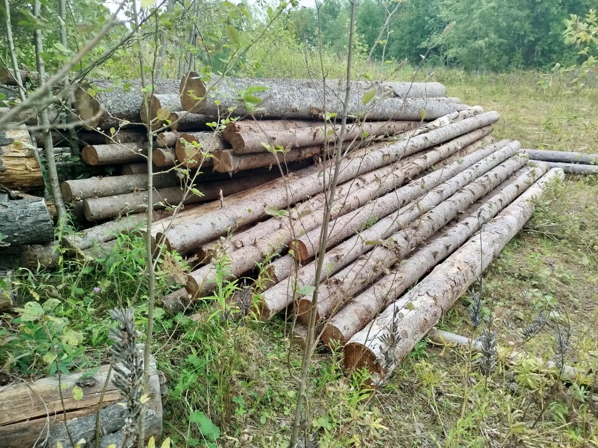 Древесина породы ель в штабеле объемом 12,263 м3