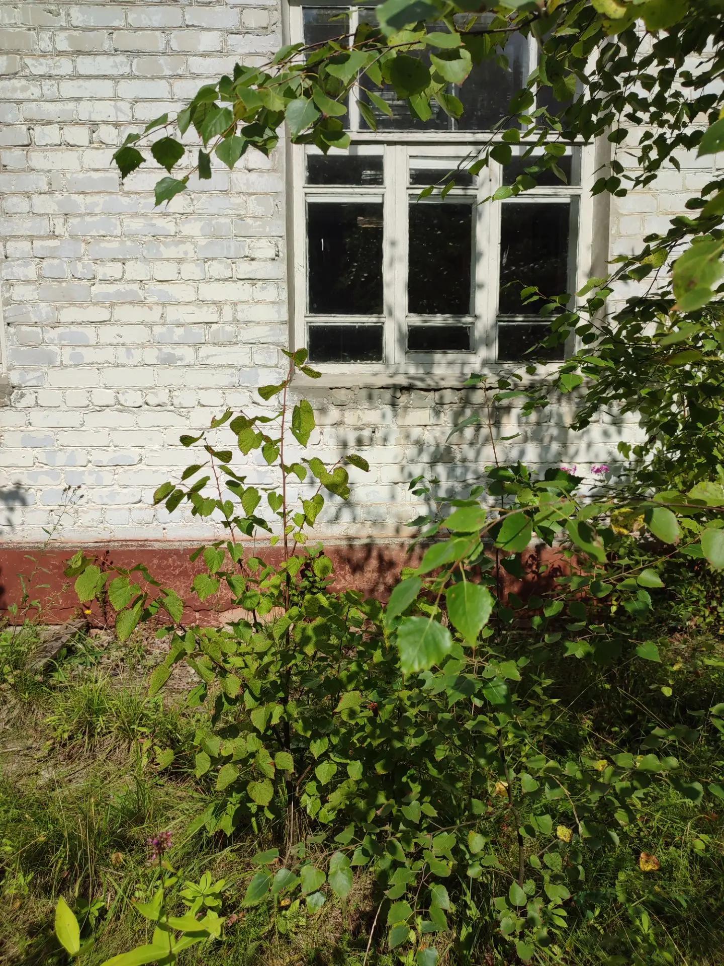Нежилое помещение, расположенное по адресу: Нижегородская область, Ковернинский район, с. Горево, ул.Медведева, д.3, помещение П1