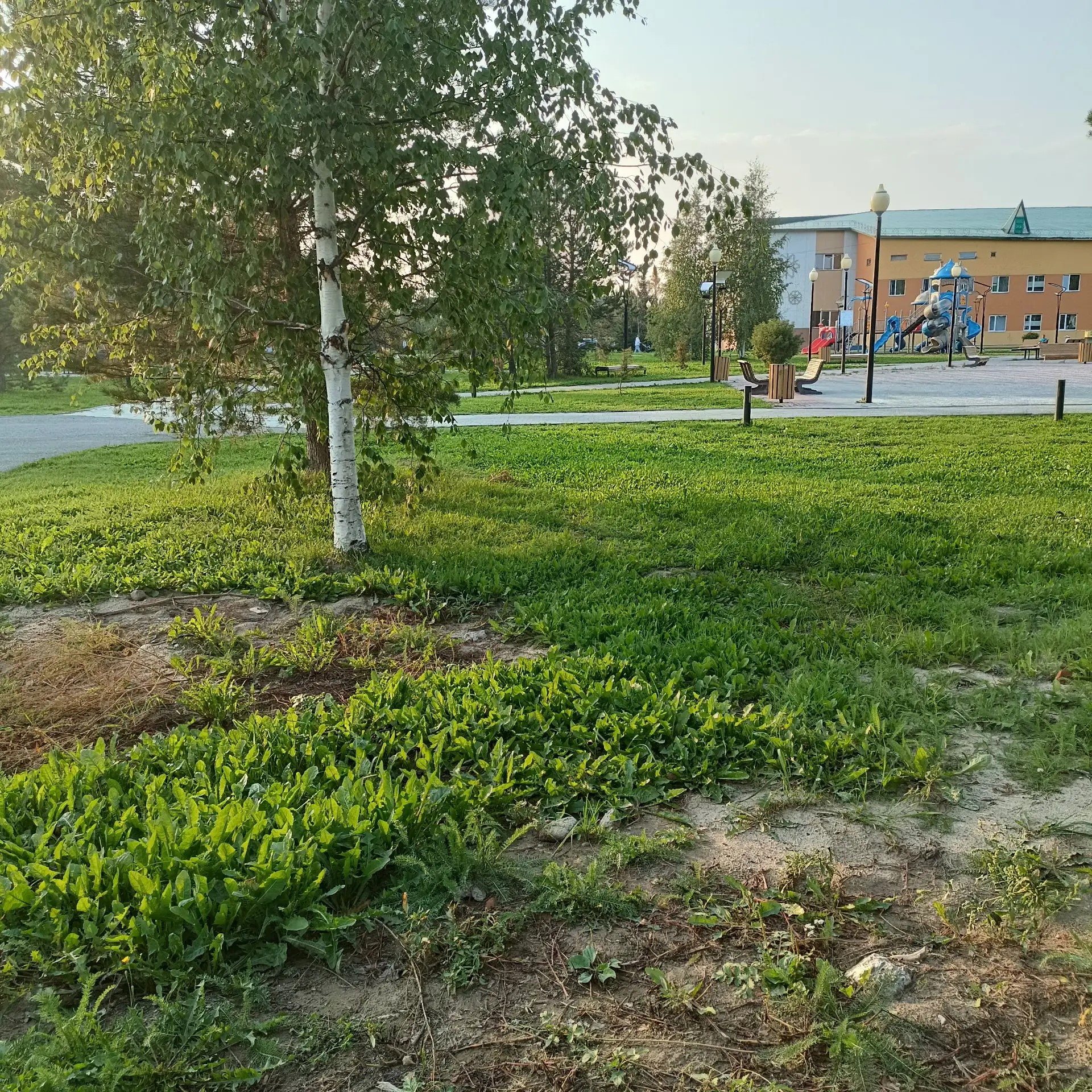 Место для размещения нестационарного торгового объекта (торгового павильона).