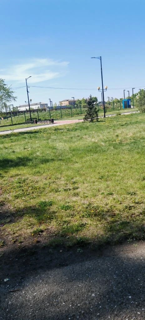размещение нестационарного торгового объекта