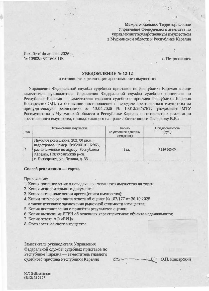 Нежилое помещение, КН 10:05:0010116:965