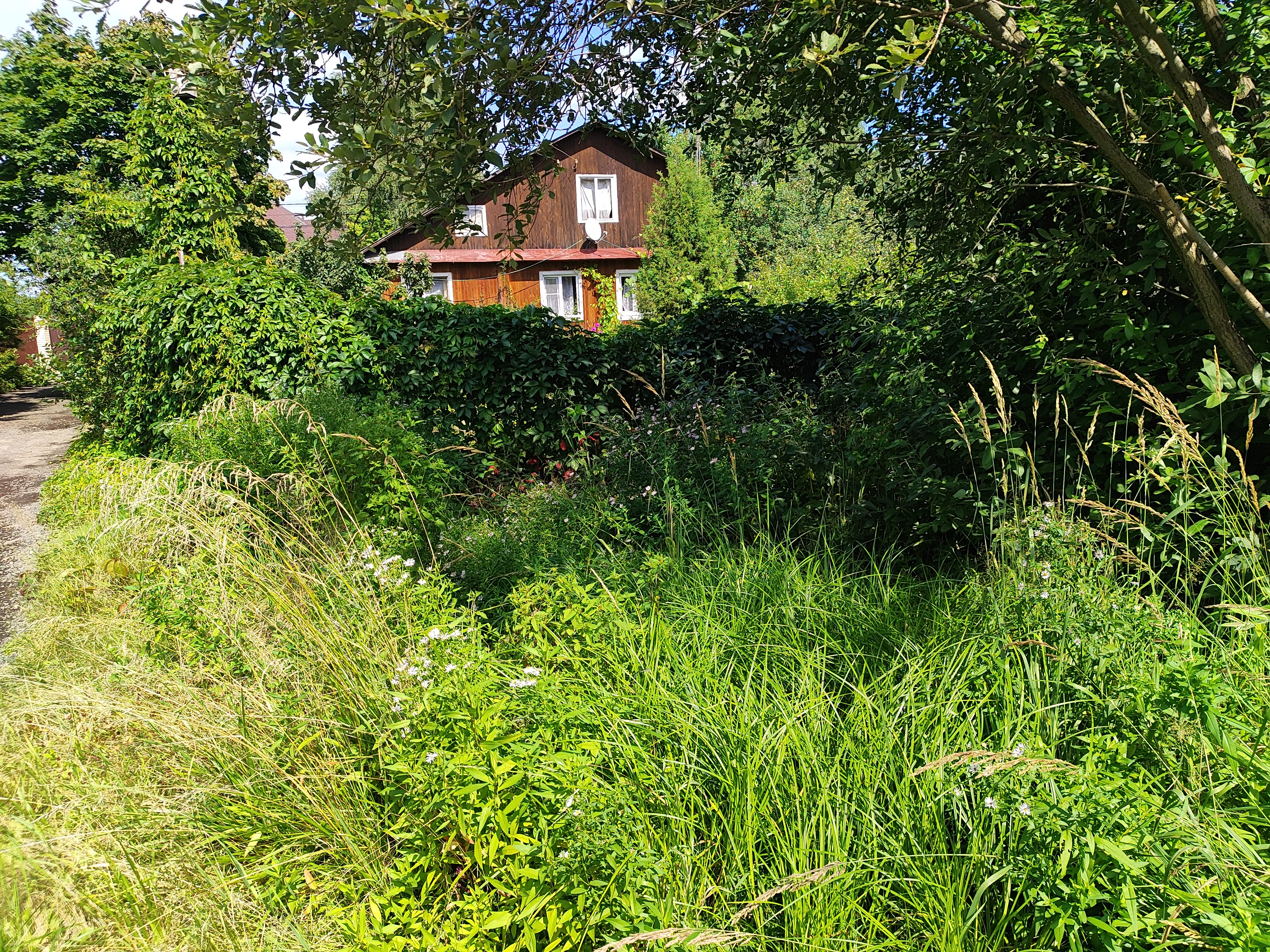 Аукцион в отношении земельного участка с КН 50:23:0010142:1296
