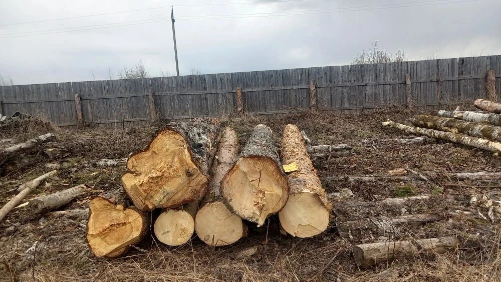 древесина породы сосна в штабеле объемом 3,41 м3: шесть шестиметровых сортиментов