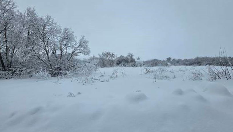 ЛОТ №1 - продажа земельного участка для индивидуального жилищного строительства, КН 47:03:0213004:393