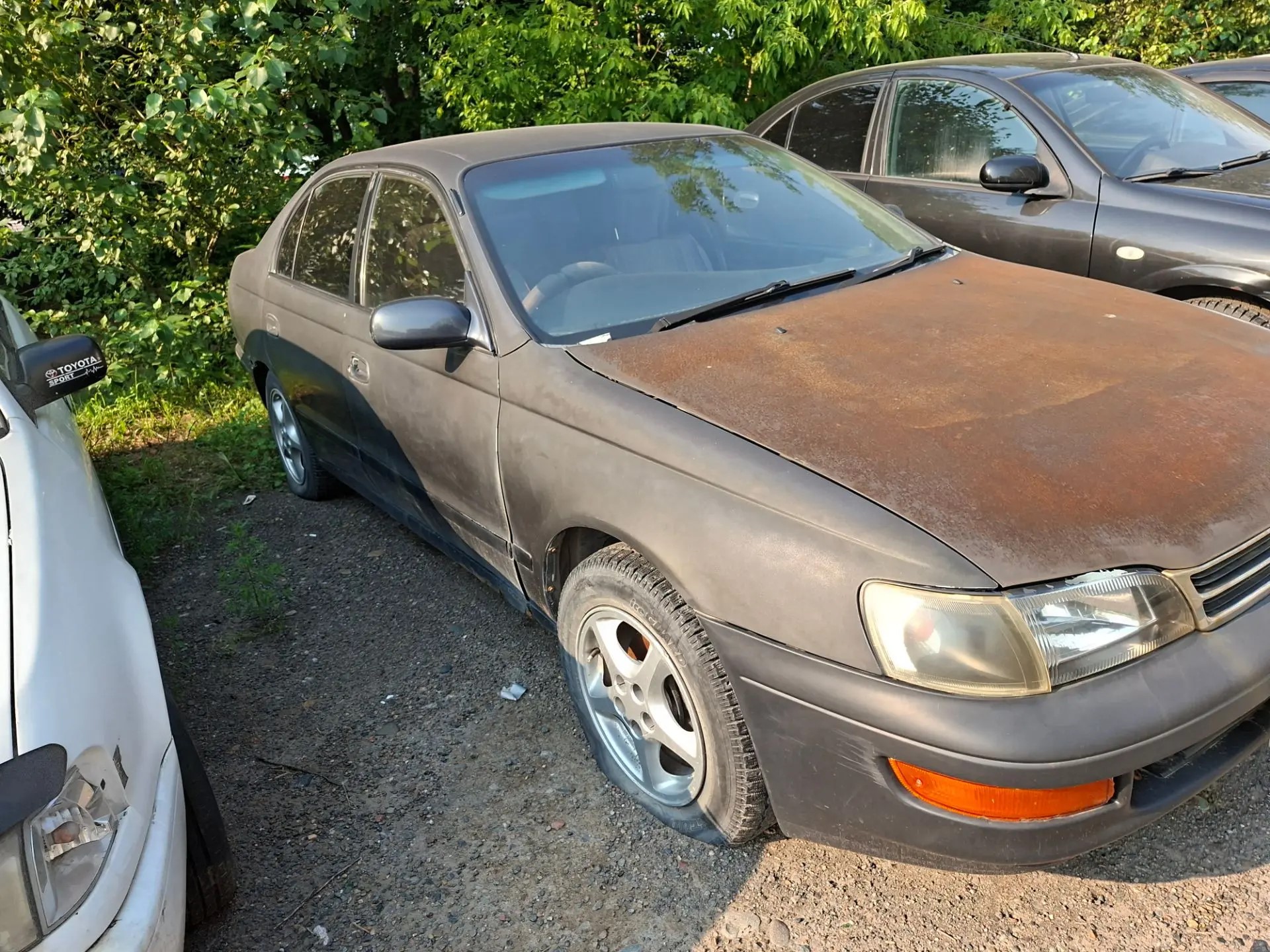 Автомобиль TOYOTA CORONA, г/н Н429РТ124, 1993 г.в., кузов № ST1900023642, двигатель № 0467301, цвет темно-серо-голубой. Рабочее состояние, и комплектность автомобиля не проверялось. Находится в г. Красноярск, данное имущество обращено в доход государства (Документы, ключи отсутствуют). (2638/25)