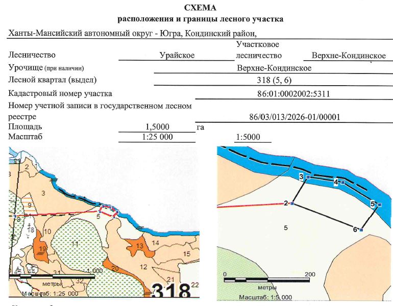 Право на заключение договора аренды лесного участка для осуществления рекреационной деятельности