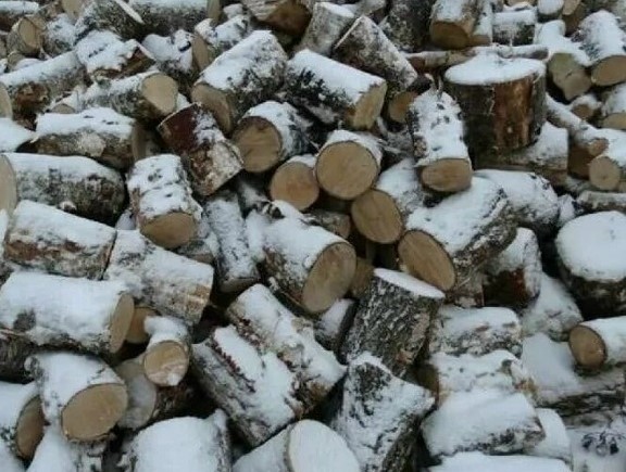 Деревья породы береза, общим объемом 6,19 м.куб., распиленные на чурки