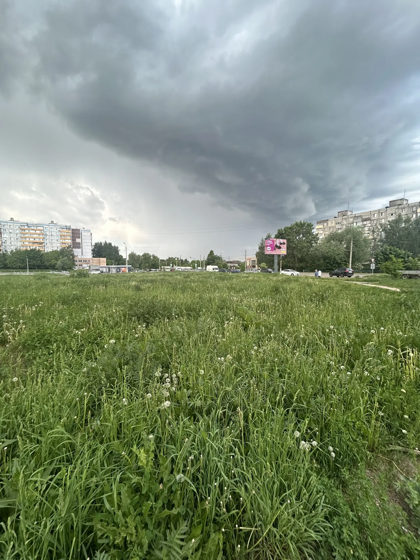 Аукцион в отношении земельного участка с КН 50:57:0080403:816