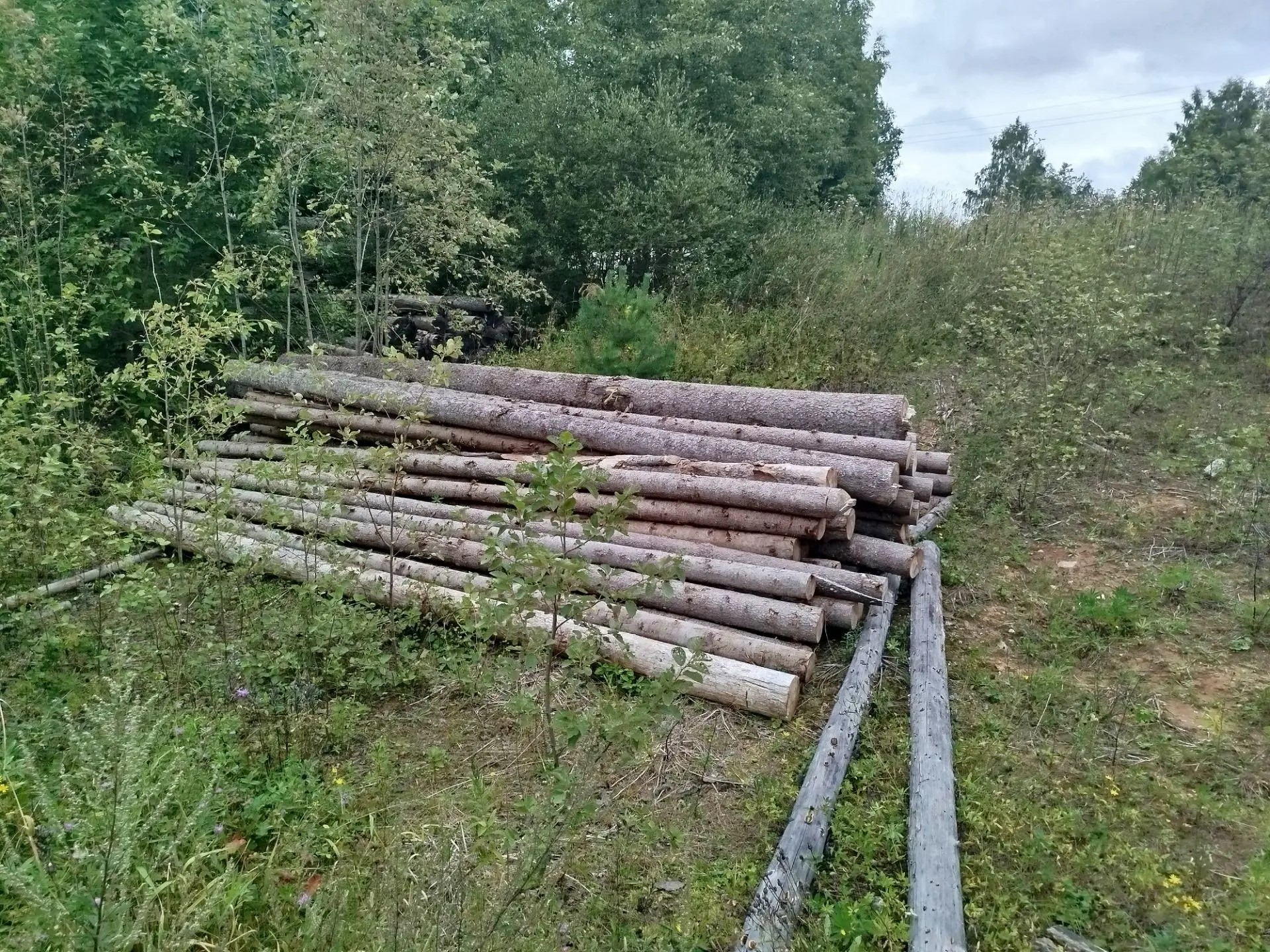 Древесина породы ель в штабеле объемом 12,263 м3