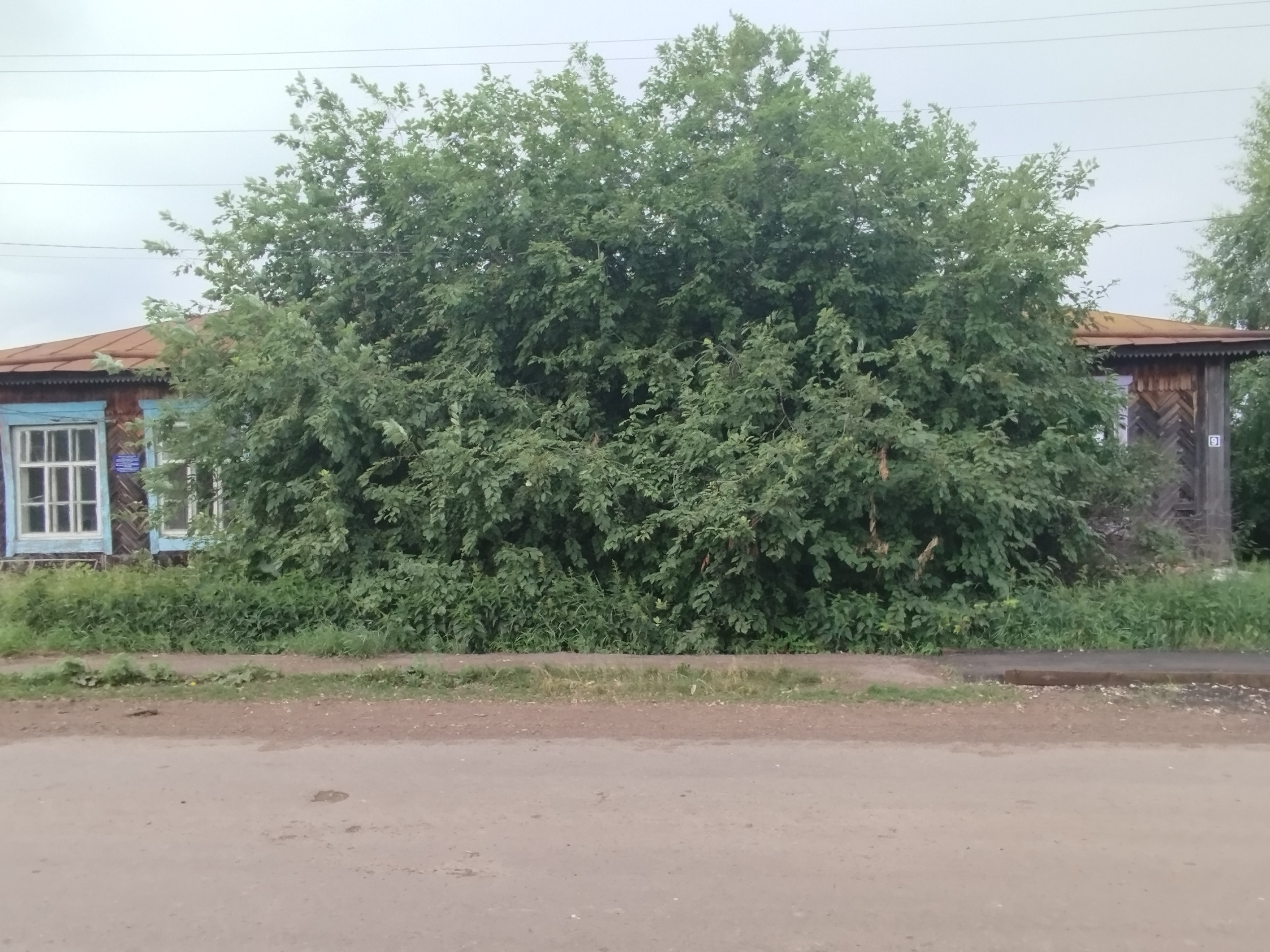 Нежилое помещение (реестровый номер имущества - 138), общей площадью 157 кв.м., кадастровый номер 66:01:4301001:236, расположенное по адресу:Свердловская область, Алапаевский район, д. Бутакова, ул. Советская, д. 9