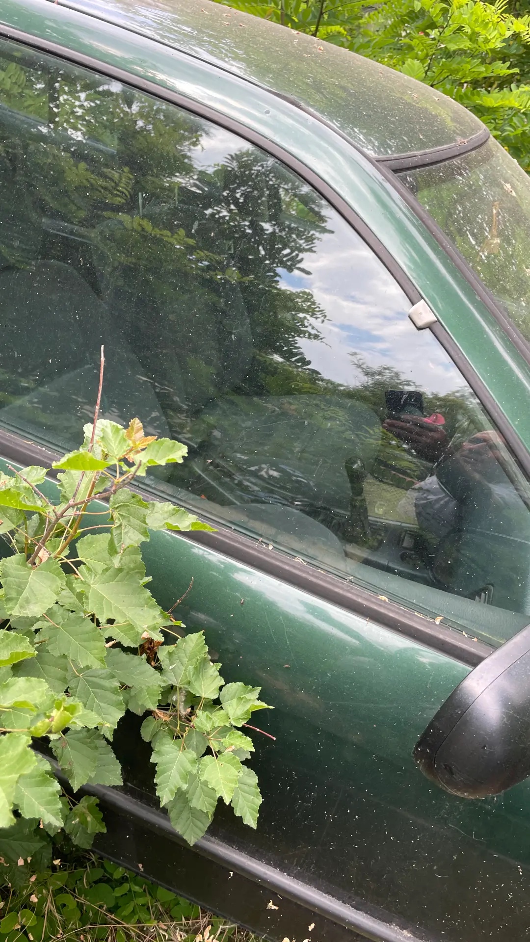 Автомобиль марки "NISSAN PRIMERA", год выпуска не установлен, г/н М907ЕС82, VIN: SJNBAAP11U0050004.
