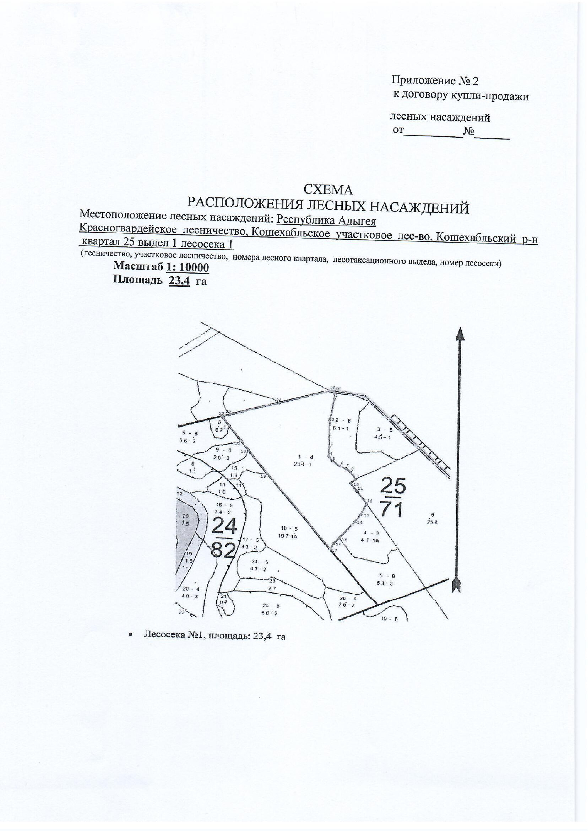 Лесные насаждения