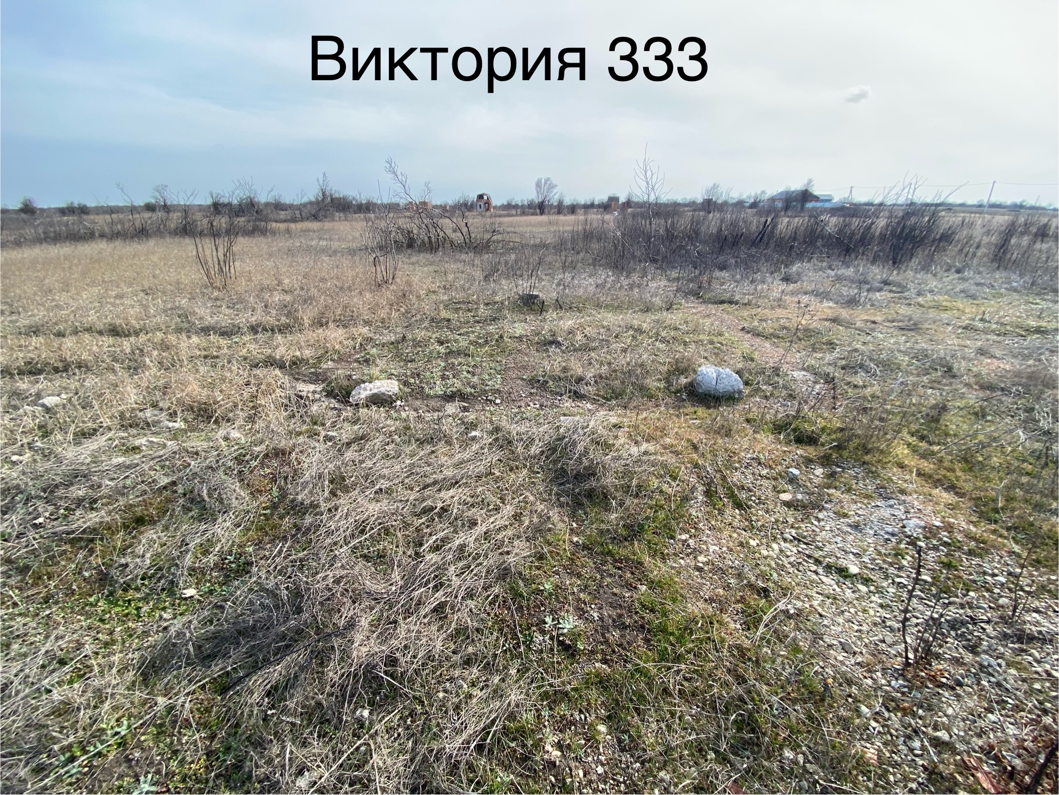 Продажа права на заключение договора аренды земельного участка, расположенного в г. Ейске, СТ «Виктория», участок 333