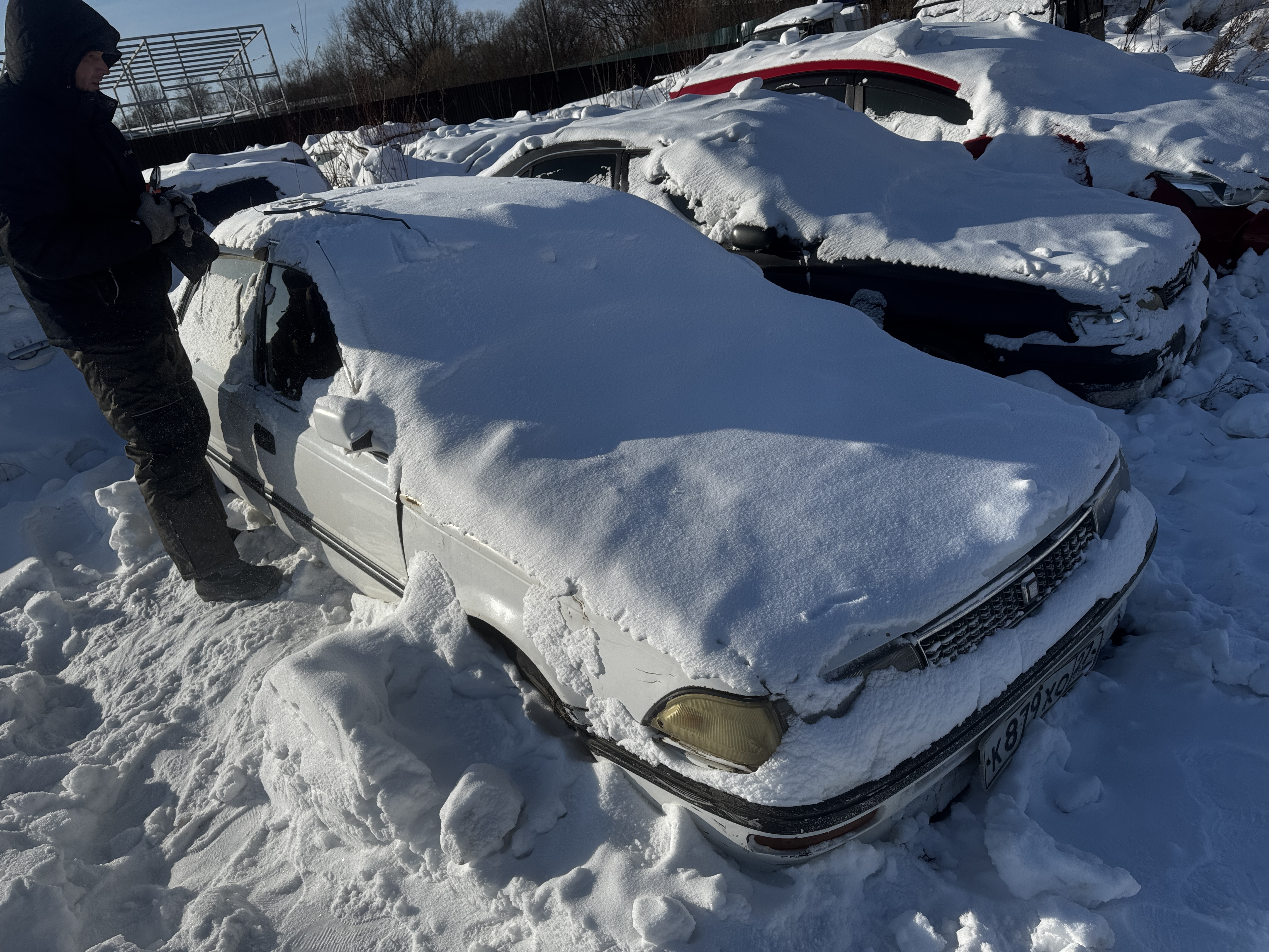 Автомобиль марки Toyota Corolla, г/н К879ХО27 , по карточке ТС № двигателя 3754393 , № кузова АЕ910111989 , цвет белый
