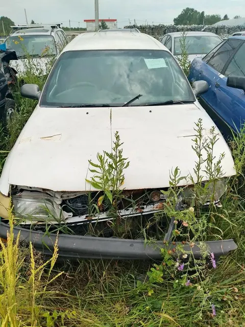 Автомобиль "Тойота Королла", г/н А248ОА45, VIN ОТСУТСТВУЕТ, кузов № ЕЕ1030056247, 1996 г.в.